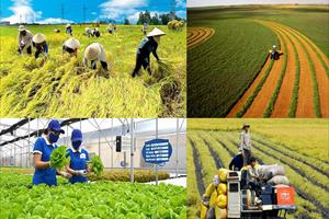Những điểm mới ở Giải báo chí toàn quốc về nông nghiệp, nông dân, nông thôn Việt Nam lần thứ II