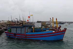 Hải Phòng, Quảng Ninh chủ động ứng phó bão số 2
