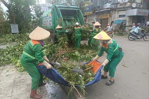 Hải Phòng khẩn trương thu gom, dựng lại cây gãy đổ sau bão số 3