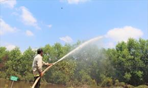 Gần 159.000ha rừng trên địa bàn tỉnh Quảng Ngãi có nguy cơ cháy cao