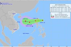 Các địa phương cần cập nhật tình hình áp thấp