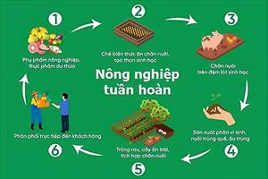 Giảm phát thải trong nông nghiệp, hướng tới chăn nuôi bền vững