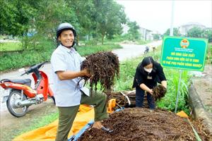 Quản lý phụ phẩm nông nghiệp để không gây ô nhiễm môi trường