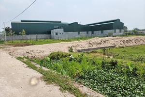 Hàng loạt nhà xưởng xây dựng trên đất nông nghiệp ở xã Minh Cường