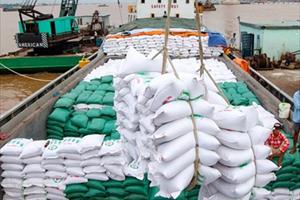 Giá gạo xuất khẩu của Việt Nam lên cao nhất trong hơn 9 năm