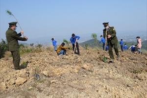Gần 1 tháng, Bắc Giang trồng 1.120ha rừng tập trung