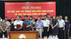 Hợp tác xúc tiến thương mại sản phẩm an toàn giữa Hà Nội với ba tỉnh miền núi phía Bắc: Lợi ích cho các bên
