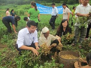 Cao Bằng: Đa dạng cây trồng trên đất lúa kém hiệu quả