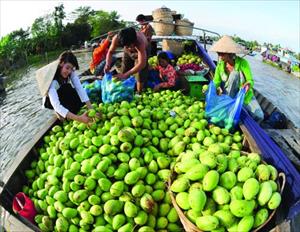 Giải pháp “nâng tầm” cho trái cây vùng ĐBSCL: Tạo liên kết chặt chẽ giữa nhà vườn với doanh nghiệp