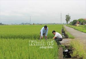 PCT UBND huyện Lương Tài Phạm Thanh Hải: Hoàn thiện và giữ vững các tiêu chí nông thôn mới