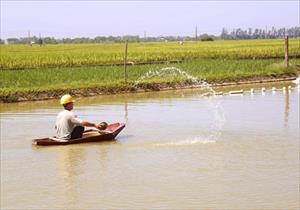 Điều kiện cần để áp dụng tiến bộ kỹ thuật: Tích tụ ruộng đất