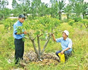 Chuyển đổi mô hình VAC để chủ động hội nhập