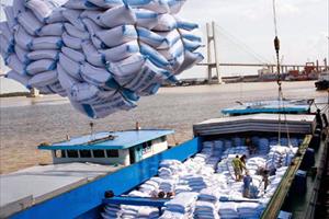 Xuất khẩu gạo 2017: Khó khăn nhưng không ít cơ hội