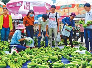 Tiêu thụ nông sản: Không thể trông chờ vào lòng trắc ẩn