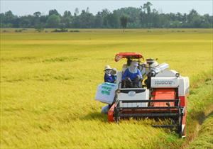 Mở rộng hạn điền, tin vui không chỉ cho ngành nông nghiệp