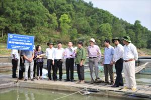 Để khai thác tiềm năng nuôi cá nước ngọt vùng trung du miền núi phía Bắc: Cần quản lý tốt dịch bệnh