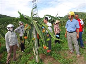 Nét mới trong hoạt động của HLV nghệ an: Trẻ hóa và nâng tầm cán bộ