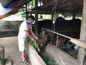 Hiệu quả tín dụng ở vùng đất  “rừng cọ, đồi chè”