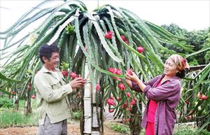 Vốn tín dụng chính sách: Hiệu quả đã rõ, Điện Biên cần tăng nguồn vốn