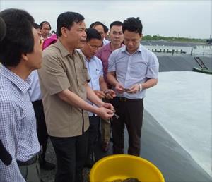 Nuôi tôm trên cát ở Duyên hải miền Trung: Giải pháp khai thác hiệu quả đất cát