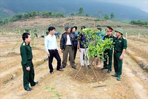 Vùng dự án kinh tế quốc phòng: Mô hình điểm “vườn - ao - chuồng - rừng”