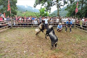 Nông thôn mới ở Thông Nguyên