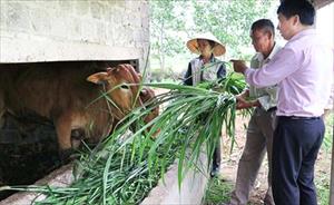 Tín dụng chính sách: Điểm tựa thực hiện bình đẳng giới