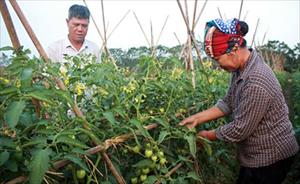 Hội Phụ nữ xã Tam Giang: Làm tốt công tác quản lý vốn