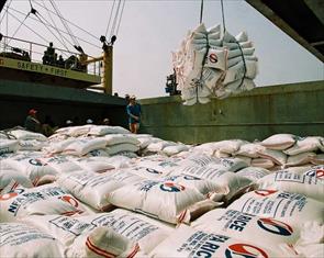 Triển khai Nghị định thư về xuất khẩu gạo qua Trung Quốc