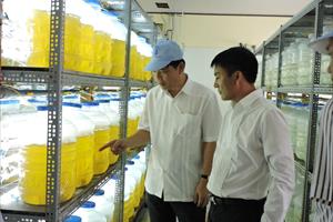 Tôm Việt hướng đến thị trường 7 tỷ người ăn