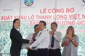 Thanh long sang Úc, xuất khẩu gạo tăng, tàu vỏ thép hư hỏng vẫn nằm bờ