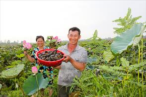 Phát huy vai trò của tín dụng chính sách vùng Tây Nam Bộ