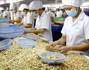 Nông nghiệp Việt Nam - từ BTA đến TPP