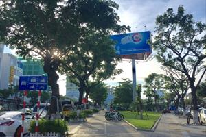 Đà Nẵng: Địa phương đầu tiên mua bảo hiểm cho cây xanh