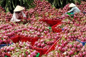 Khuyến khích doanh nghiệp Việt tham gia thị trường trái cây