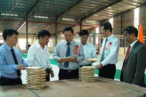 Công ty CP Gỗ công nghiệp Quảng Nam: “Bền vững với thời gian”