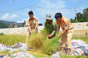 Sắc nắng giữa mùa vàng Điên Biên