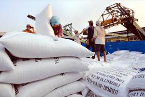 Nông dân và doanh nghiệp cần đi “cùng thuyền” trong xuất khẩu gạo