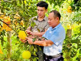 Ngành Nông nghiệp Hà Tĩnh tăng trưởng 2,6%