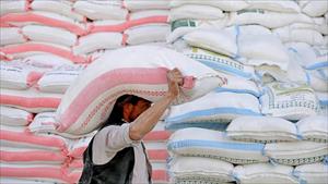 An ninh lương thực toàn cầu “nóng” lên trước các lệnh cấm xuất khẩu gạo