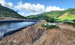 Xây dựng trang trại nuôi heo nái tại Phú Yên: Nhiều vi phạm
