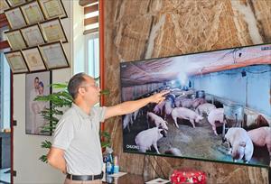 Một buổi với chủ trang trại chăn nuôi lớn nhất tỉnh Lào Cai