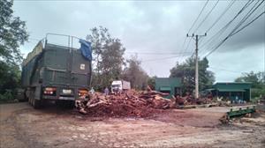 Xưởng xay dăm gỗ của Công ty TNHH Long Thương nằm trong khu dân cư, gây ô nhiễm, người dân xã Hòa Đông lãnh đủ!