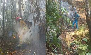 Chủ động, tăng cường các biện pháp cấp bách phòng cháy, chữa cháy rừng