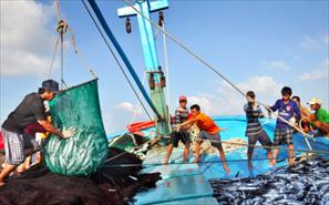Chỉ thị của Ban Bí thư về tăng cường lãnh đạo chống khai thác thủy sản bất hợp pháp