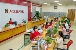 Agribank tiếp tục giảm lãi suất cho vay hỗ trợ khách hàng ngay từ đầu năm 2024