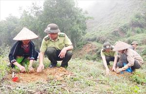 Tuyên Quang khuyến cáo trồng rừng đúng mùa vụ