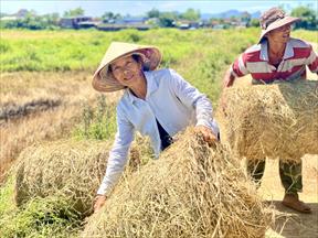 Quy định xã nông thôn mới kiểu mẫu giai đoạn 2022-2025 tại Quảng Nam