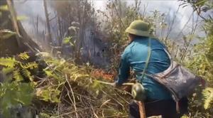 Lào Cai khống chế thành công  và ngăn chặn nguy cơ cháy rừng lan rộng