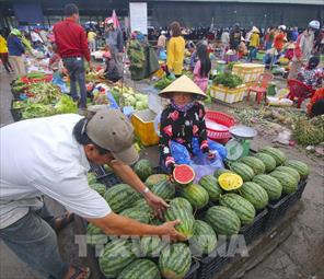 Xây dựng chợ an toàn thực phẩm để bảo vệ người tiêu dùng